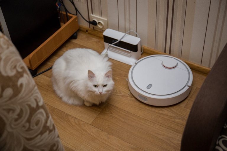 Top 5 Litter Robots for Your Cats – A Comprehensive Guide